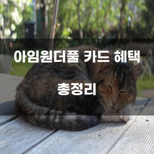 아임원더풀 카드 혜택 총정리