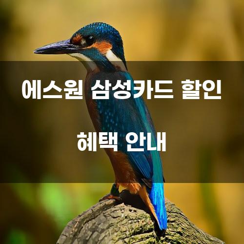 에스원 삼성카드 할인 혜택 안내