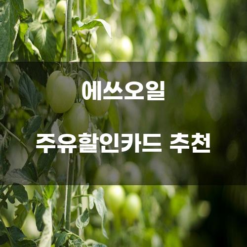 에쓰오일 주유할인카드 추천