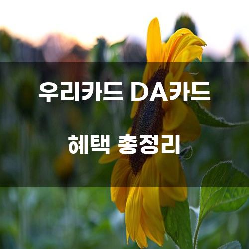 우리카드 DA카드 혜택 총정리