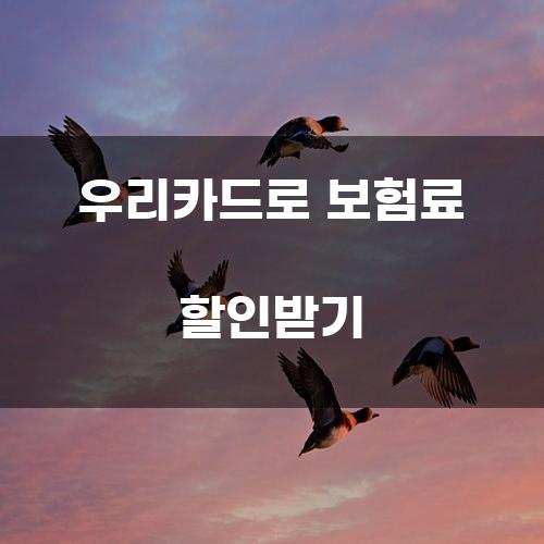 우리카드로 보험료 할인받기