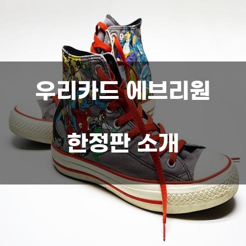 우리카드 에브리원 한정판 소개