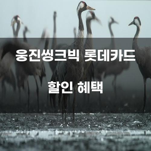 웅진씽크빅 롯데카드 할인 혜택