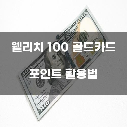 웰리치 100 골드카드 포인트 활용법