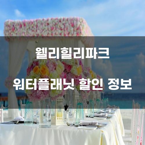 웰리힐리파크 워터플래닛 할인 정보