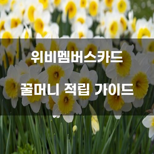 위비멤버스카드 꿀머니 적립 가이드