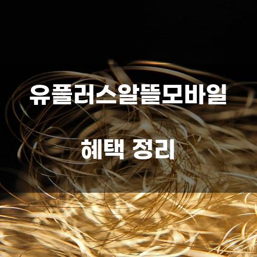 유플러스알뜰모바일 혜택 정리