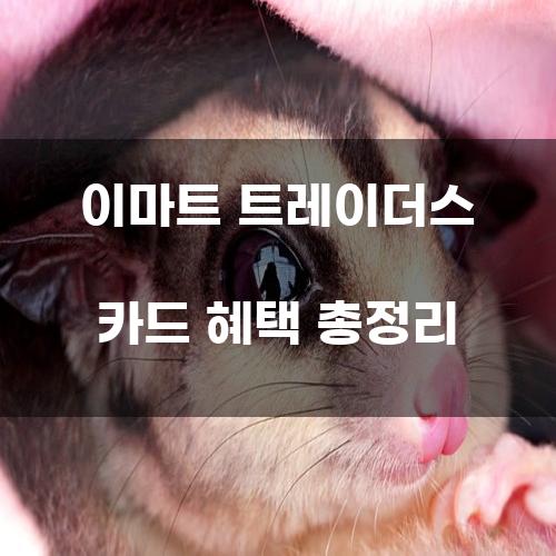 이마트 트레이더스 카드 혜택 총정리