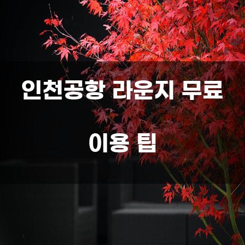 인천공항 라운지 무료 이용 팁