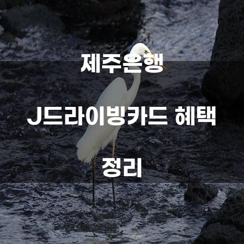 제주은행 J드라이빙카드 혜택 정리