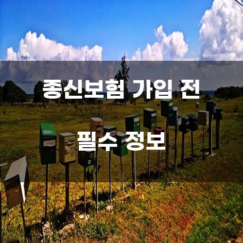 종신보험 가입 전 필수 정보