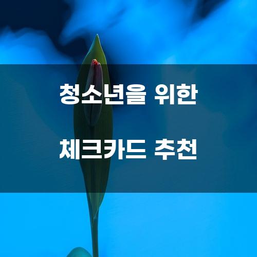 청소년을 위한 체크카드 추천