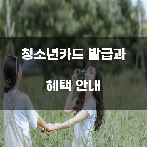 청소년카드 발급과 혜택 안내