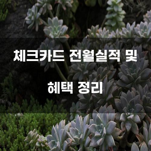 체크카드 전월실적 및 혜택 정리