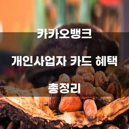 카카오뱅크 개인사업자 카드 혜택 총정리