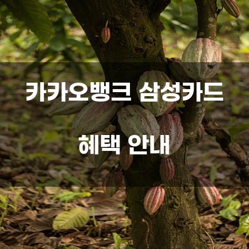 카카오뱅크 삼성카드 혜택 안내