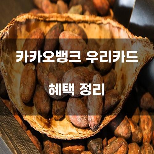 카카오뱅크 우리카드 혜택 정리