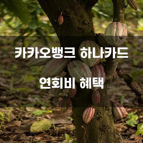 카카오뱅크 하나카드 연회비 혜택