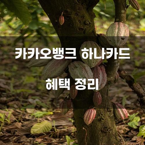 카카오뱅크 하나카드 혜택 정리