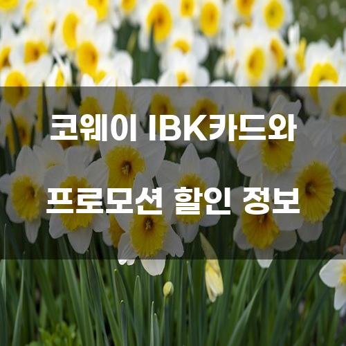 코웨이 IBK카드와 프로모션 할인 정보