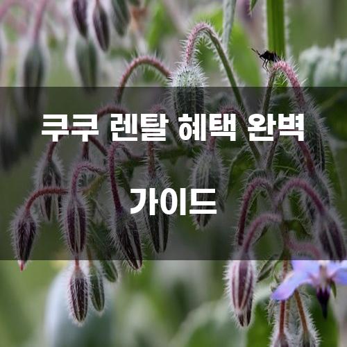 쿠쿠 렌탈 혜택 완벽 가이드