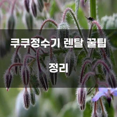 쿠쿠정수기 렌탈 꿀팁 정리