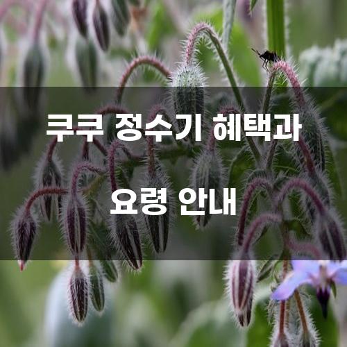 쿠쿠 정수기 혜택과 요령 안내