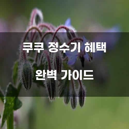 쿠쿠 정수기 혜택 완벽 가이드