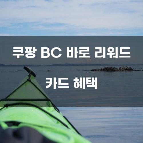 쿠팡 BC 바로 리워드 카드 혜택