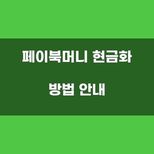 페이북머니 현금화 방법 안내