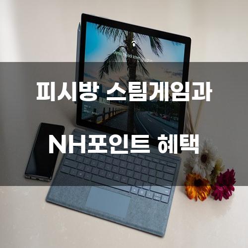 피시방 스팀게임과 NH포인트 혜택