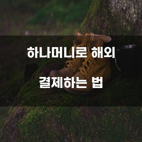 하나머니로 해외 결제하는 법