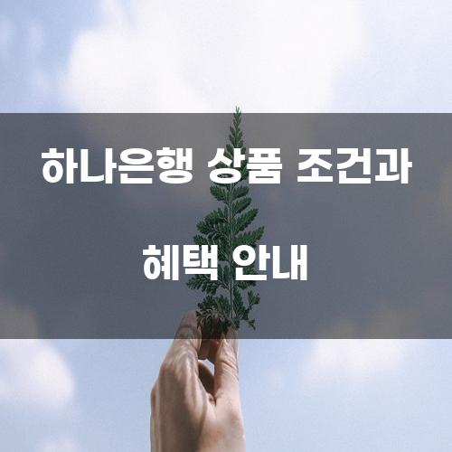 하나은행 상품 조건과 혜택 안내