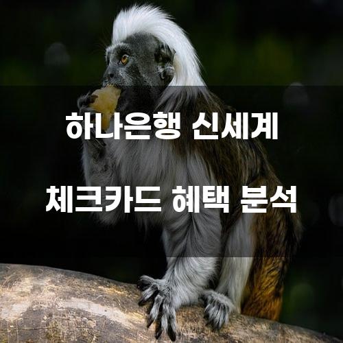 하나은행 신세계 체크카드 혜택 분석