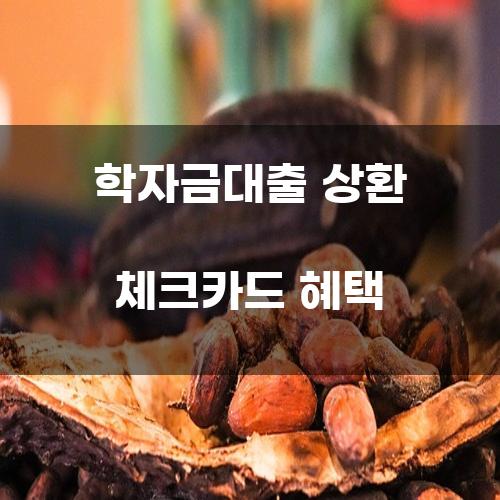 학자금대출 상환 체크카드 혜택