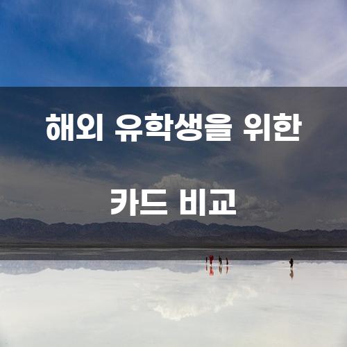 해외 유학생을 위한 카드 비교