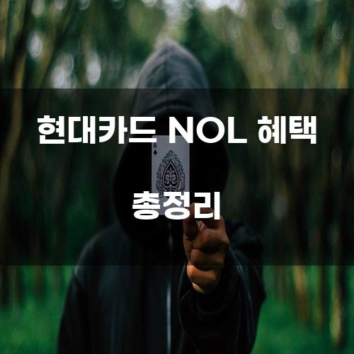 현대카드 NOL 혜택 총정리