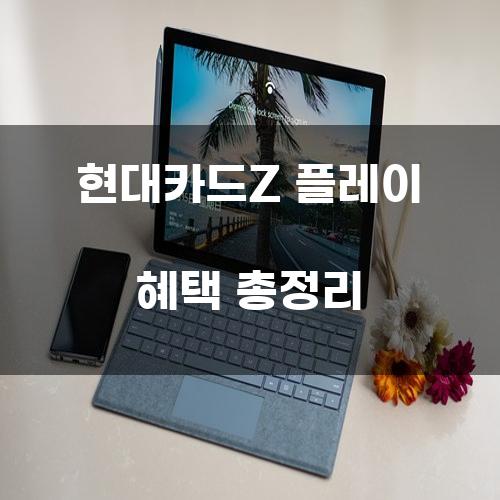 현대카드Z 플레이 혜택 총정리