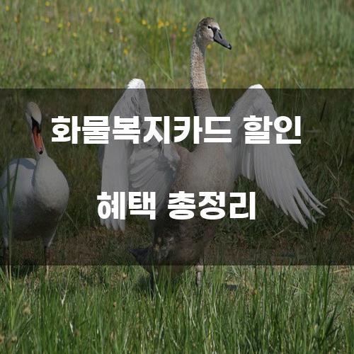 화물복지카드 할인 혜택 총정리