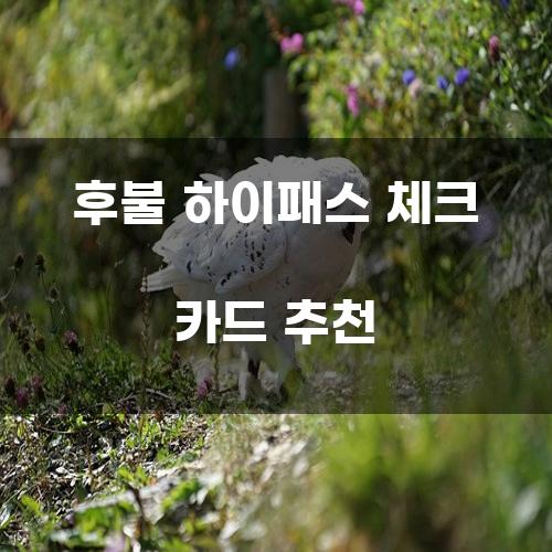 후불 하이패스 체크 카드 추천