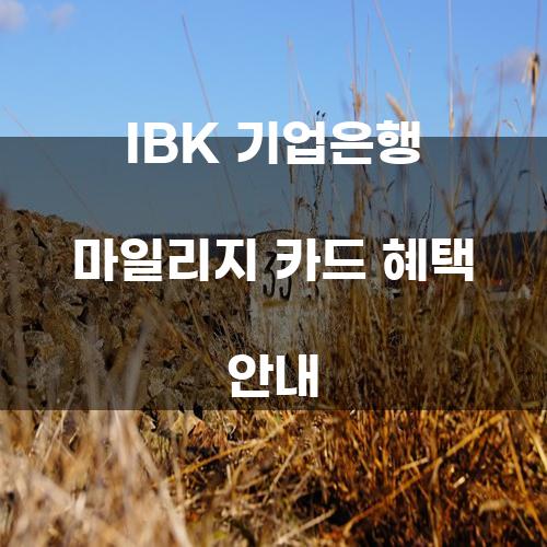 IBK 기업은행 마일리지 카드 혜택 안내