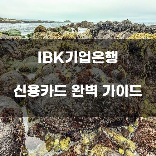 IBK기업은행 신용카드 완벽 가이드