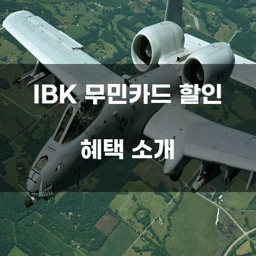 IBK 무민카드 할인 혜택 소개