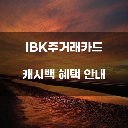 IBK주거래카드 캐시백 혜택 안내