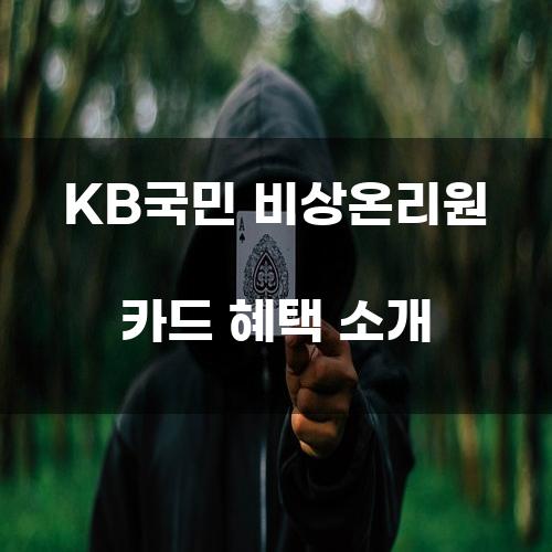 KB국민 비상온리원 카드 혜택 소개