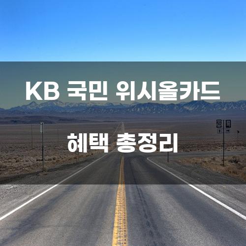 KB 국민 위시올카드 혜택 총정리