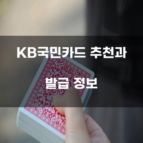 KB국민카드 추천과 발급 정보