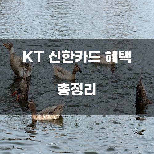 KT 신한카드 혜택 총정리