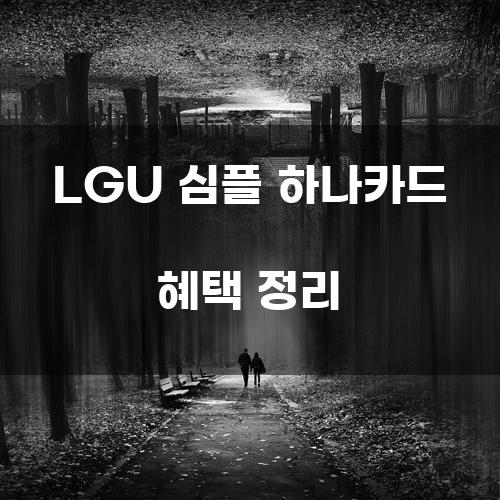 LGU 심플 하나카드 혜택 정리