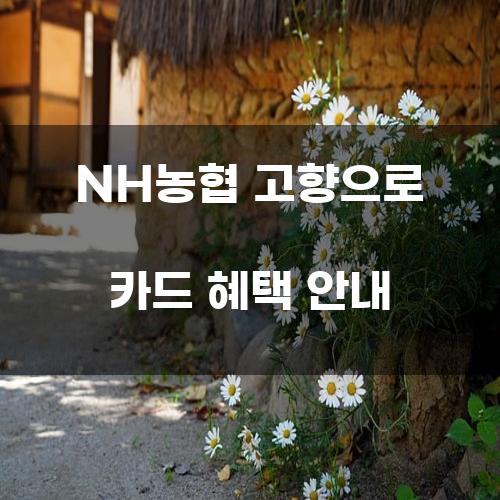 NH농협 고향으로 카드 혜택 안내